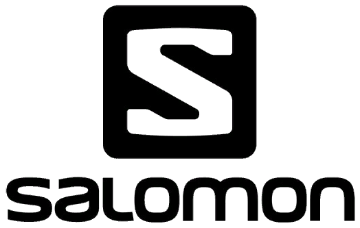 Salomon group logo