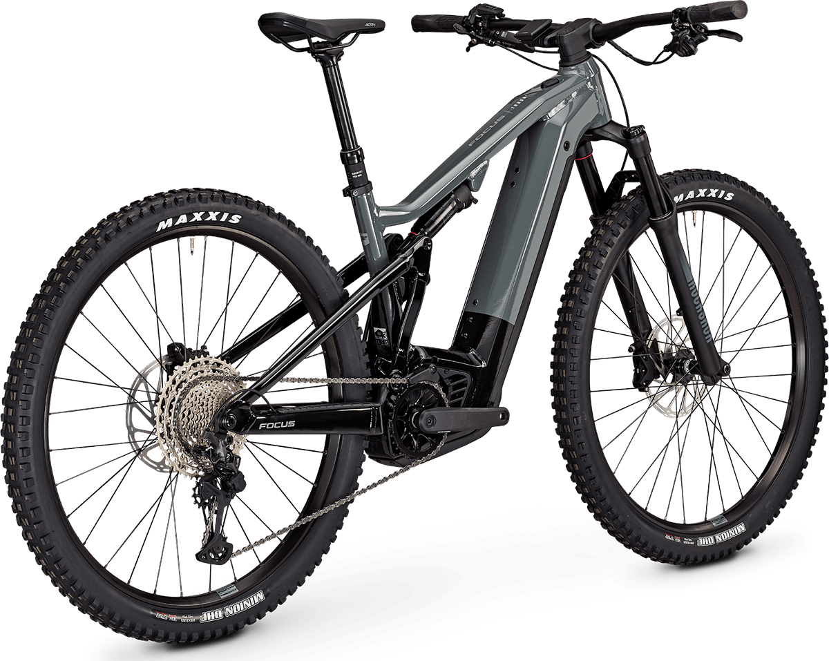 Focus thron fully ebike back